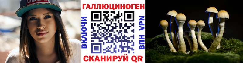 Псилоцибиновые грибы Psilocybe  купить наркотик  Козьмодемьянск 